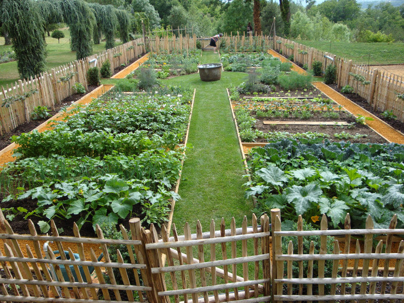 modèle d’investissement en permaculture au sénégal